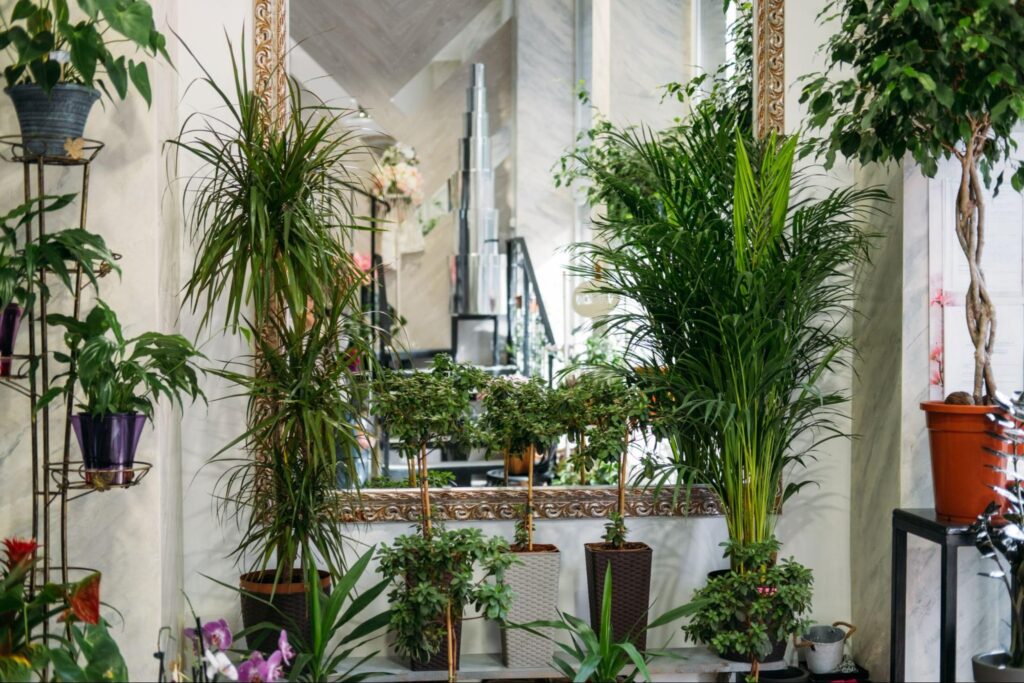 biophilic interior